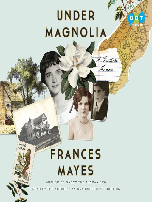 Cover image for Under Magnolia
